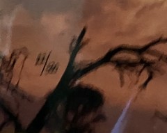 Chitabe Sunset Botswana by Tony Newlin 60″ x 20″ Artist Signed Print #22/500
