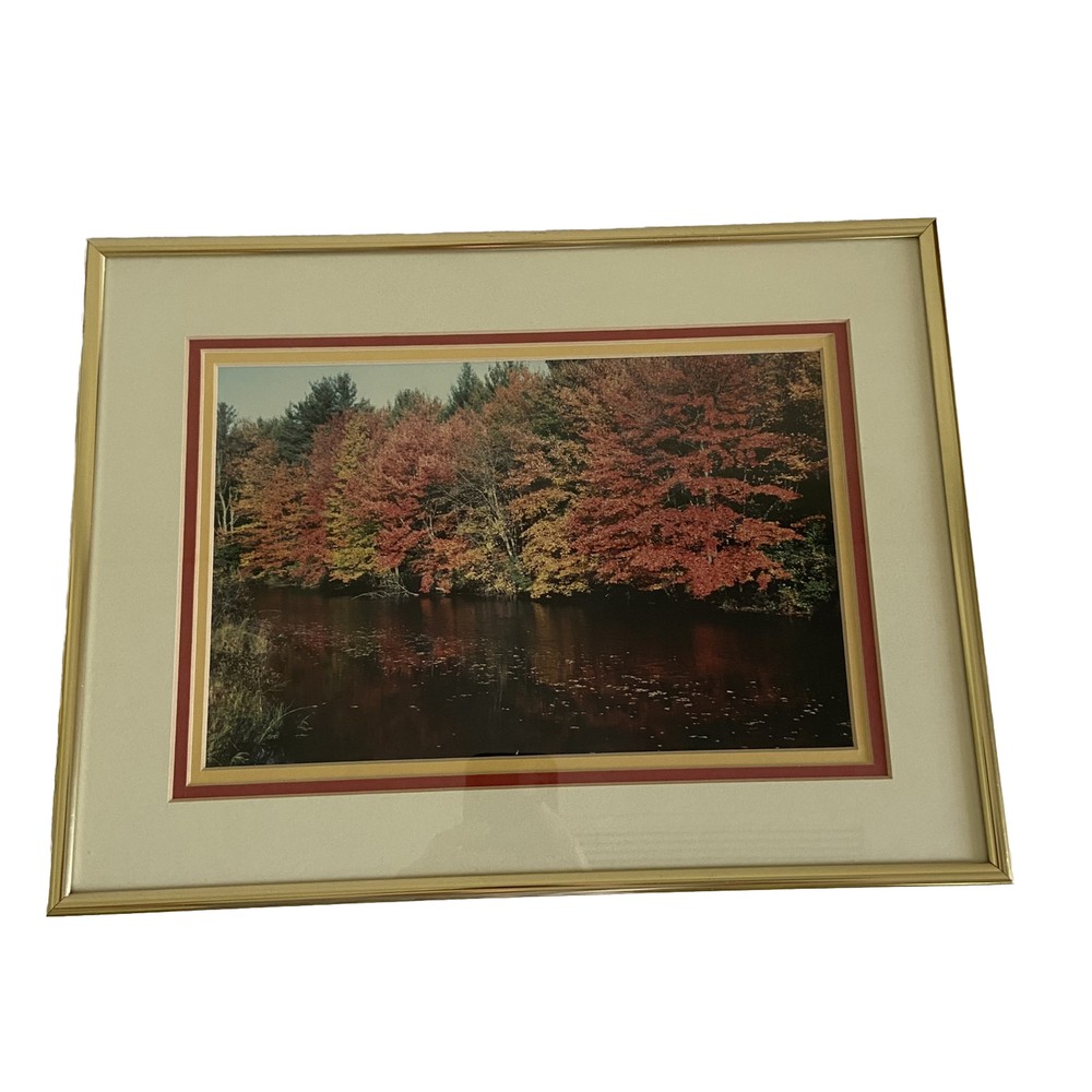 Art Photography Photo Autumn Picture Lake Matted Framed Fall Leaves