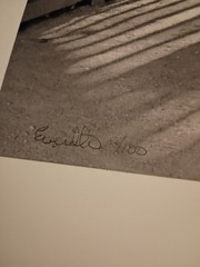 Elliot Erwitt Black And White Print