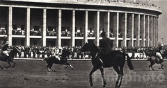 1936 Vintage 11×14 OLYMPICS Germany POLO Equestrian Horse Photo Art ~ PAUL WOLFF