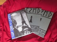 SHINRO OHTAKE EZMD 1987 1st. Edition Written in English Japan