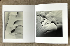 Rare Unreleased PHOTO BOOK – WITHDRAWN COVER ‘Eikoh Hosoe Photographs 1960-1980’