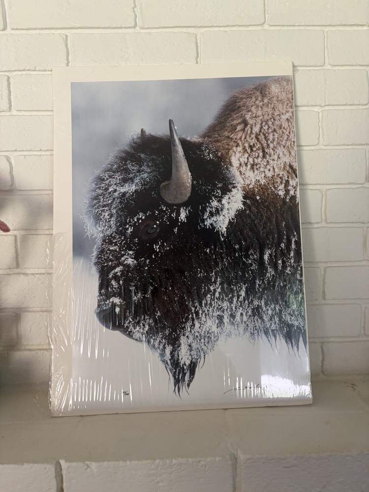 Thomas Mangelsen, Old Man Winter 14”x20”Limited Edition Color Photo 853 Of 950