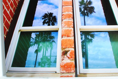 Artistic Brick Building Metal Print Professional Photograph/Palm Trees 16″ x 20″