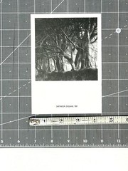 Lynn Geesaman 1994 Art Show Announcement Card – PPOW Gallery NYC Photography