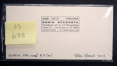 Boris Starosta 3D Stereoview – CREATIVE Ruffin Fal roof E3 Signed 2012