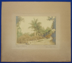 Original 6.5×4.5 Hand-Colored 1920 PHOTO: ROYAL PALMS, BERMUDA by Stuart Hayward