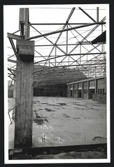 5 photographs view Oldenburg I. old, topping-out ceremony freight station 1951, Huntebrück