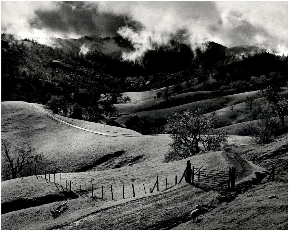 1951 1990s Ansel Adams Farm pasture Sonoma County California Large Art Photo