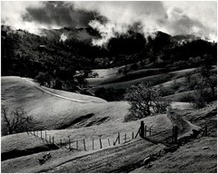 1951 1990s Ansel Adams Farm pasture Sonoma County California Large Art Photo