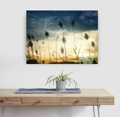 Blooming Cattails Willows Silhouette Sunset Beige Gold Blue Abstract Art Photo