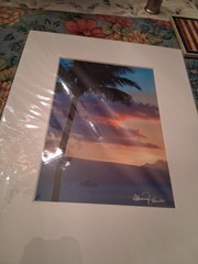 Palm Tree At Dusk Photo Matted Unframed Signed Sherry Hunter New