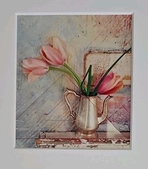 Lenny Lyons Bruno Art Photograph Pink Tulips in a Teapot Still Life Matted 11×14