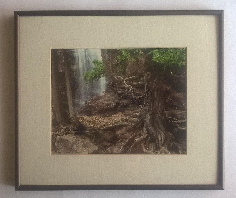 Jay Anderson Photograph Minnesota Gooseberry Falls Framed Art Forest Waterfall