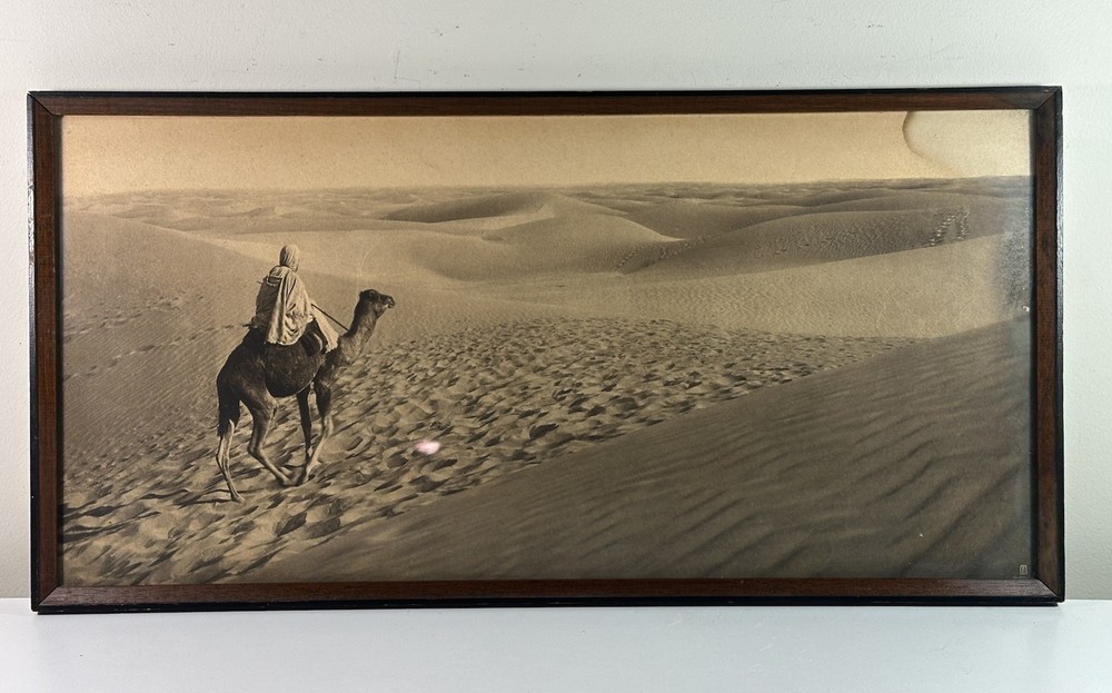 As Found Framed Lehnert & Landrock Panoramic Photo North African Desert Camel