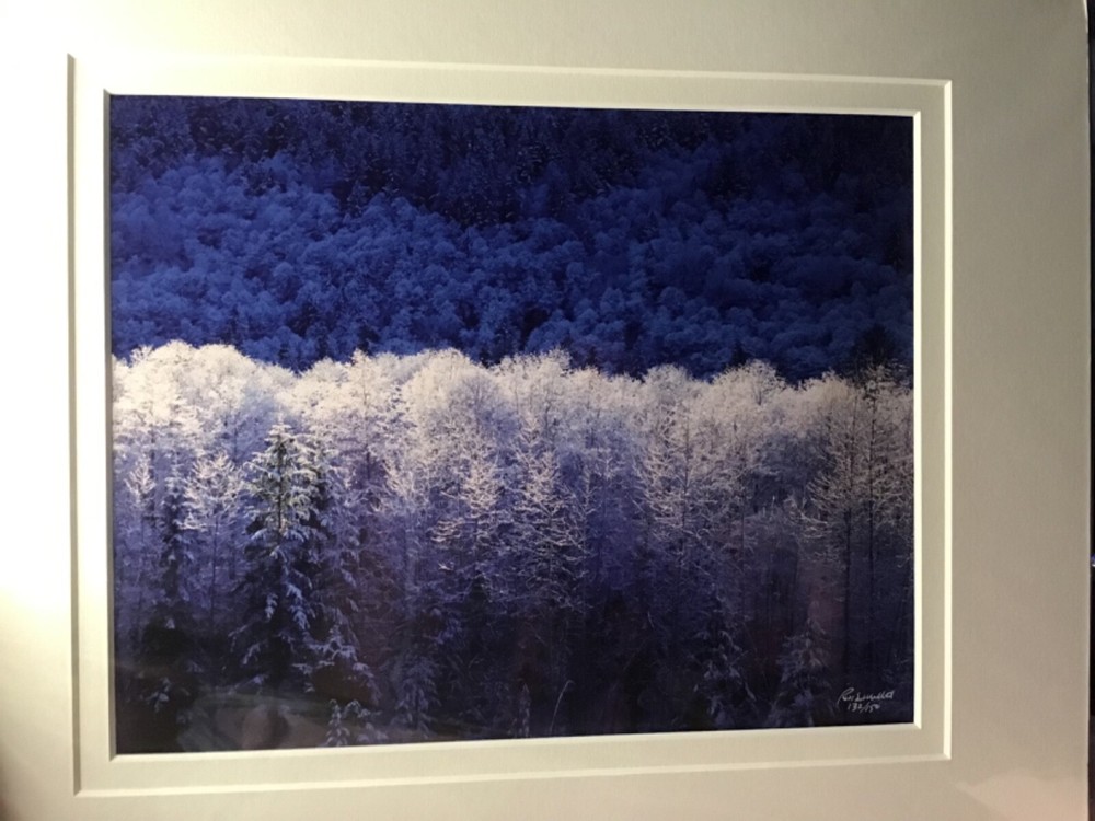 Mantle of White Ron Mellott matted photography Hoar Frost Nooksack River, Wa
