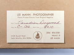 Vtg “Canadian Dogwood” 8×10 Photograph, Signed, Matted & Framed (13×16) LEE MANN
