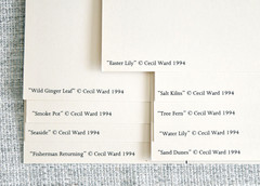 1994 Cecil Ward Jamica Edition Art Postcards. 9 Different Photography Cards RARE