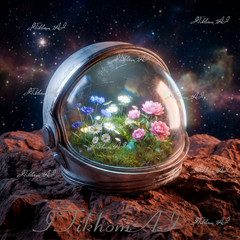 Digital Art Image Space Helmet Stars Flowers Planet Wallpaper Background Desktop