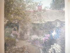 Early 1900s Wallace Nutting LARKSPUR Hand Tinted Colored Photo Signed 7″ x 9″