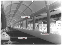 Antique Glass Negative Black and White 13×18 cm Vittel Thermal Baths Gallery