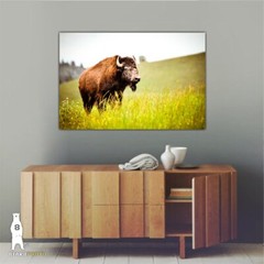 Buffalo Country Home Décor – Wildlife Fine Art Photography Prints