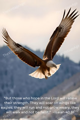 Flying Eagle Religious Quote Digital AI Photo Wallpaper Background Desktop Art