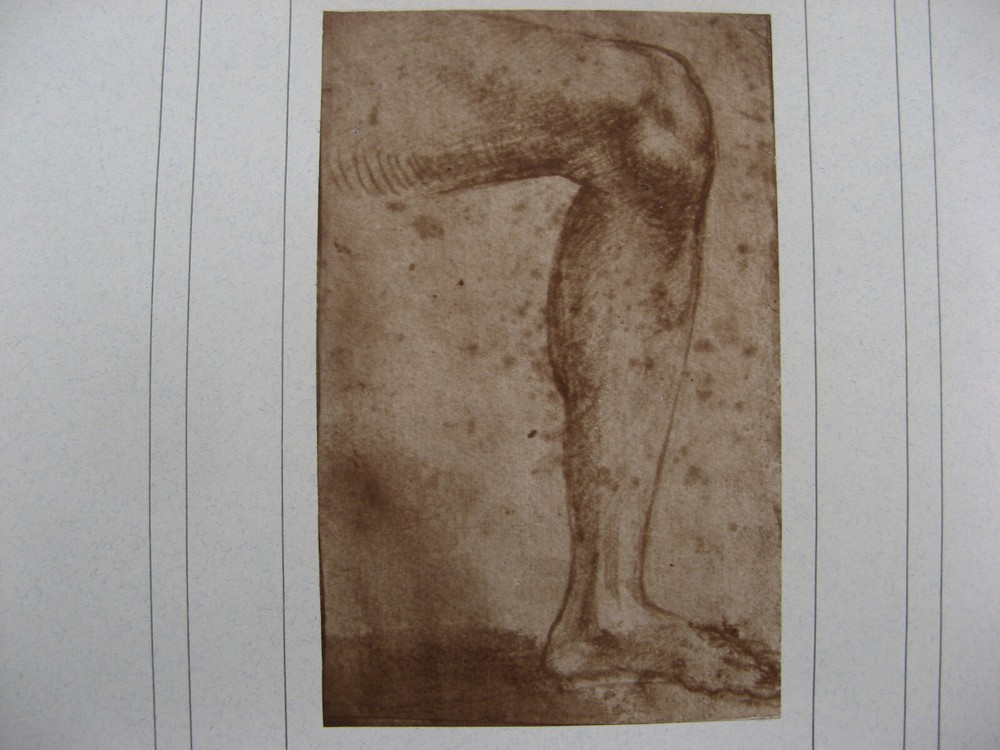1890s RAPHAEL SANZIO -LEG DRAWING- Carbon Print/Photogravure BRAUN CLEMENS & CIE