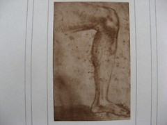 1890s RAPHAEL SANZIO -LEG DRAWING- Carbon Print/Photogravure BRAUN CLEMENS & CIE