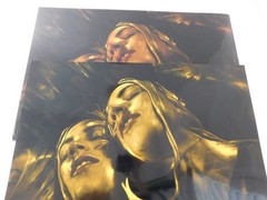 2015 Amateur Photography Vivid & Gold Gelatin Sheen Art School Project 20″ x 30″