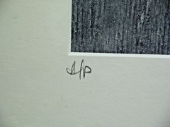 MATTED PHOTOGRAPHY Splintered Wood Board A/P 14×17 by Larry Santucci