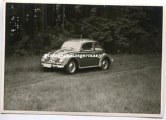 D7877 Photo 1960s VW Beetle Volkswagen Auto Passenger Car