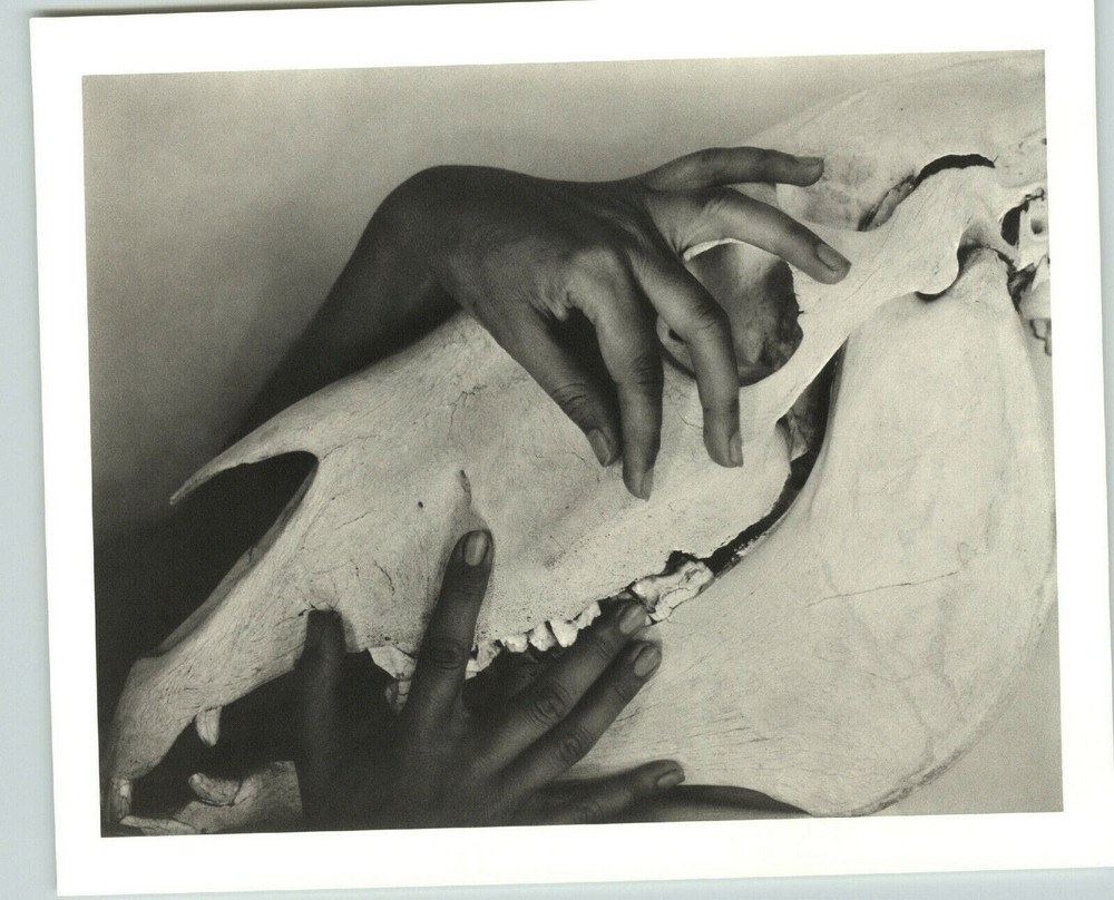 1930 1978 Alfred Stieglitz Animal Skull Hands Georgia O’Keeffe Tritone Art Photo