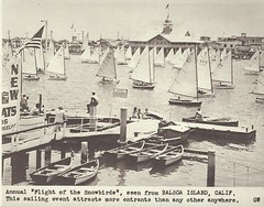 NEWPORT BALBOA Flight of the Snowbirds SAILBOAT RACE Photo Print 1461 11″ X 14″
