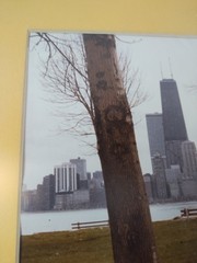 “Early Spring” Chicago Skyline Vintage Photography by J. McDowell Framed Signed
