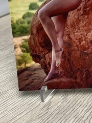 Contemporary Pinup Girl 4×6 Photo – Fine Art Color Print – Brunette Female Form