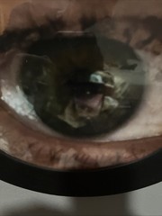 Todd’s Eyeszzz