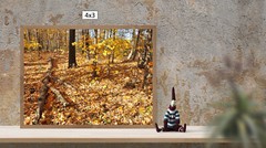 Fall Forest Leafy Ground 2, High Resolution Image, Many Formats, TV Art