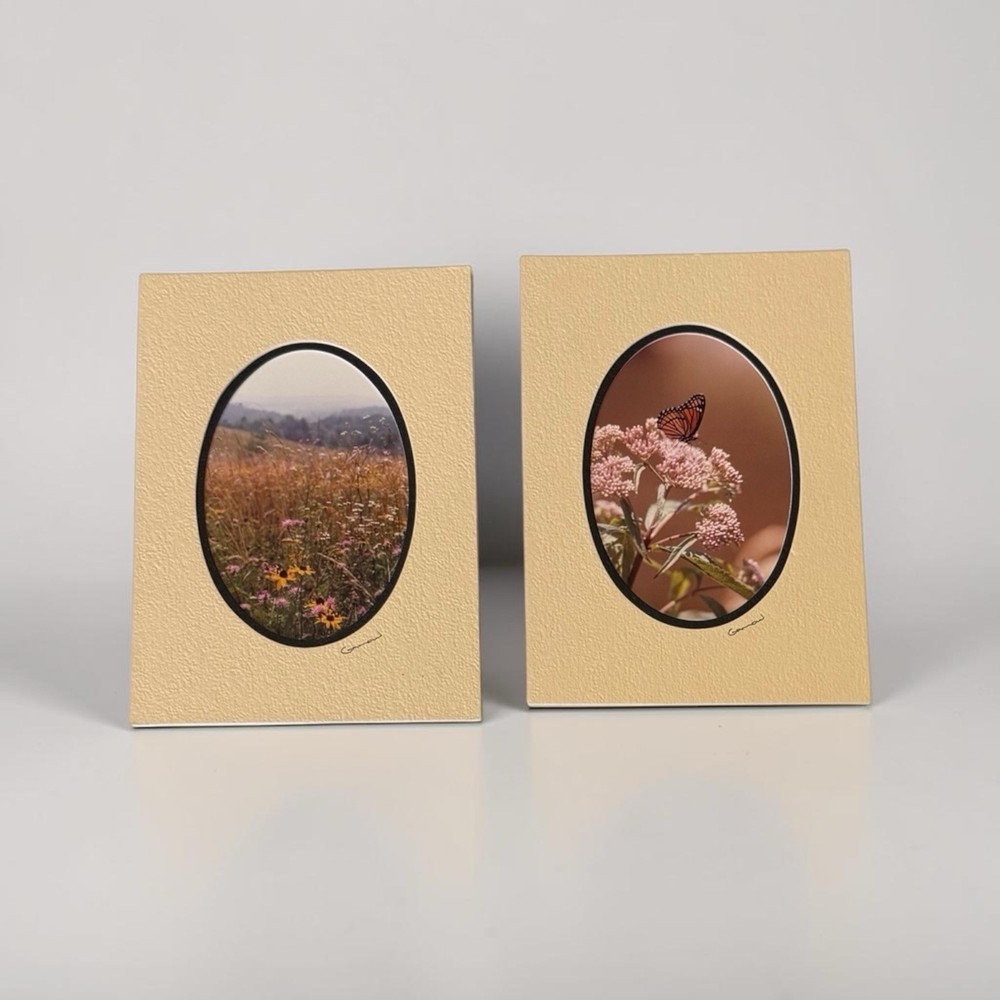 Barry Gamow signed Wild Flowers & Butterfly Nature Photography Art 5″ x 7″ Mated