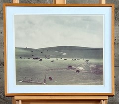 COLE WESTON, “PALO CORONA RANCH” SIGNED C-PRINT PHOTOGRAPH