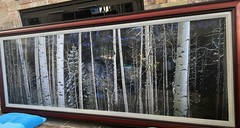 Thomas Mangelsen “White River Aspens” 32×100 Museum Frame Limited Edition775/950