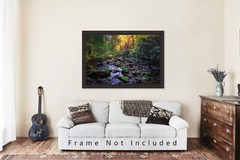 Forest Photography Print – Picture of Creek in Great Smoky Mountains Tennessee