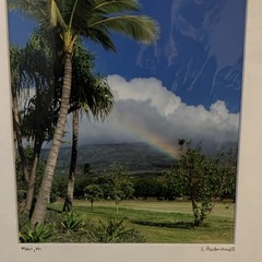 Signed Matted Maui Landscape Photograph Print Showing Rainbow Palm Tree Hawaii