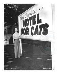 Childless Cat Lady, Motel For Cats – Vintage Photo 8×10