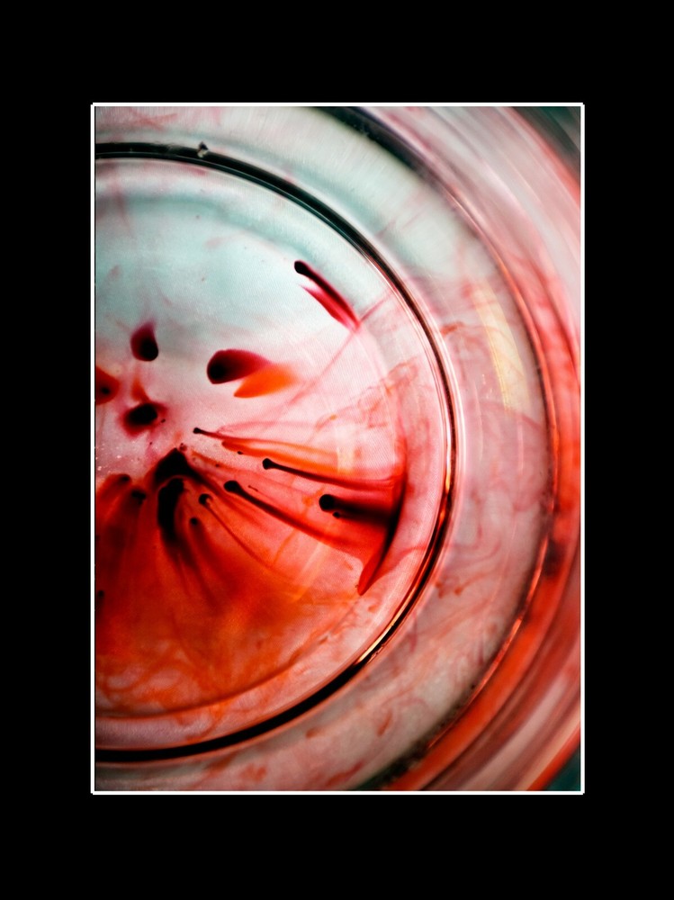 Author’s Photo – Down The Earth ’21 Black Passe-Partout 18x24cm