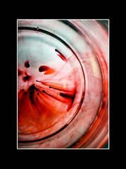 Author’s Photo – Down The Earth ’21 Black Passe-Partout 18x24cm