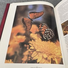 Timeless Images From Arizona Highways Magazine