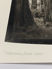 Jim Fitzgerald First Grove Prairie Creek Signed Photograph Carbon Transfer