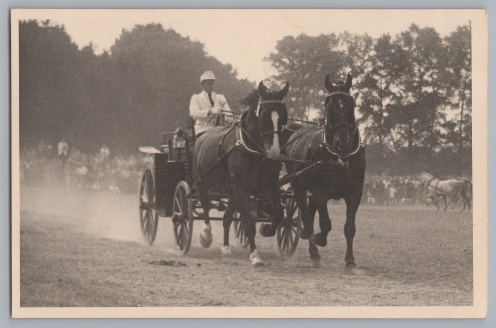 Schliestedt Schöppenstedt 1949 Coachman Event Horses – Photo 1940s