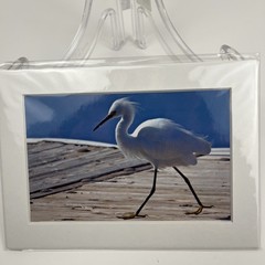 Snowy Egret Sea Bird Art Photography Matted 7×5 Inch Dock Beach Decor